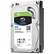 Interne Festplatte Seagate SkyHawk HDD 4 TB CCTV ST4000VX007